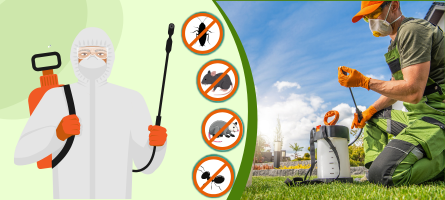 about us emergency pest control St Kilda